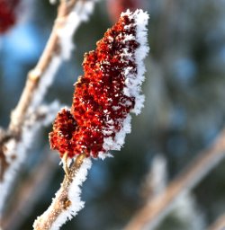 13 10-Feb-13 09-28-39 D300 066